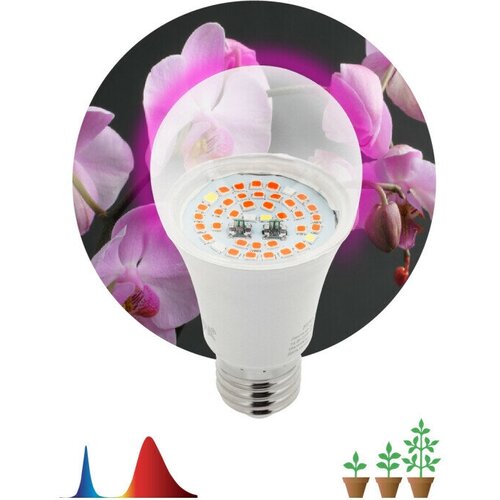 ���� ��������� ��� �������� ������������ ��� FITO-14W-RB-E27 ������-������ ������� (�������) ����� �27 14�� 25,2 ������/� 440.660�� 1300� 230� (�0050602) (�������� 8 ��), ������ �� 4420 ���