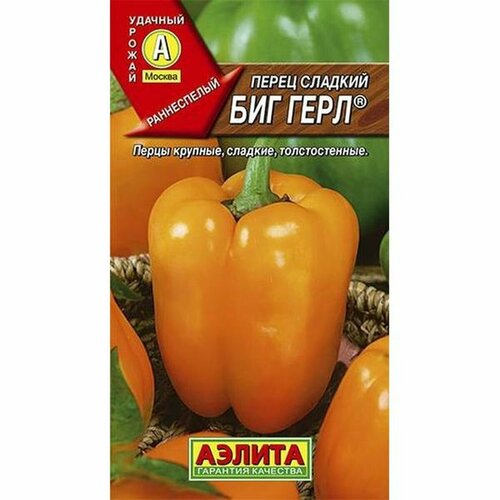 ���� ������ ����� ������� ��� ���� (������) 20�� ������� �����, ������ �� 63 ���