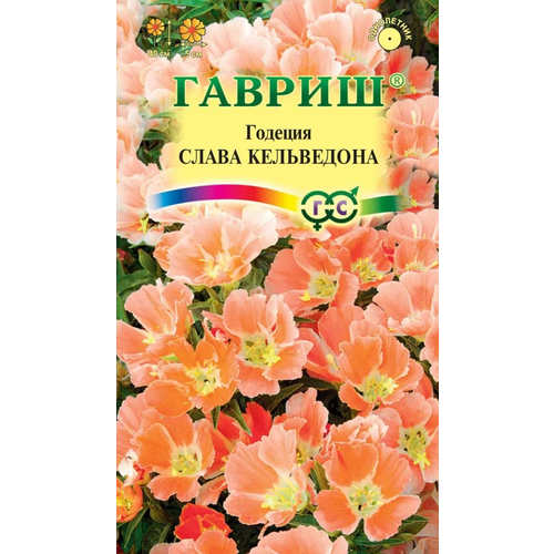    ,   ( 1 : 0,05  ),   42 