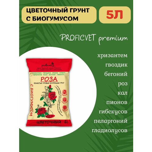 ���� ����� ����� ��� ��� ������� ��������� 