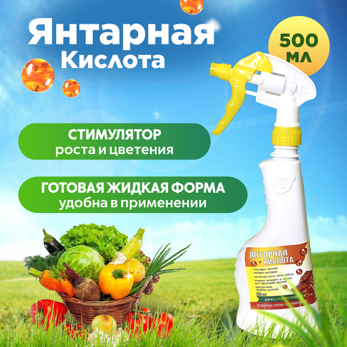 ���� �������� ������� ��������� 