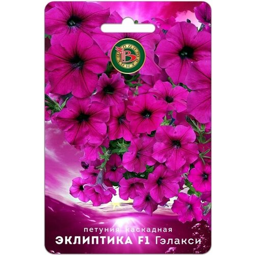 ���� ������ ������� ��������� 