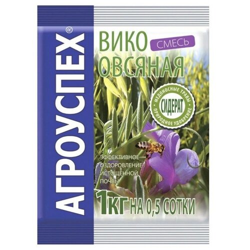 ���� ����� ����� ��������� ����-������� �����, 1 ��, 1 ��, ������ �� 166 ���