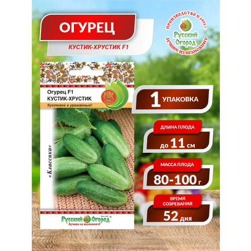 ���� ������. ������ 