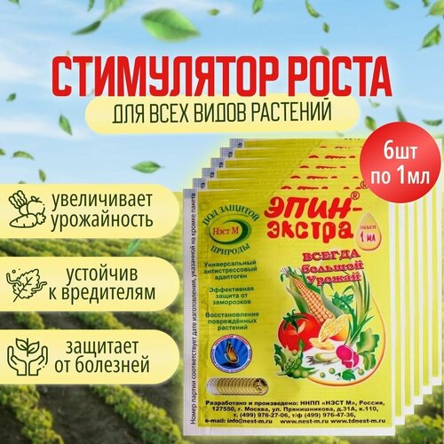 ���� ��������� ����� � �������� �������� ����-������,1 ��,6 ��, ������ �� 510 ���