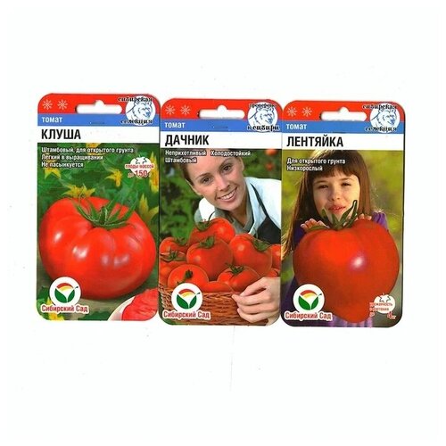 ���� ����� ����� ������� ��������� ��������� ( �����, ������, ��������) - 3 ��, ������ �� 250 ���