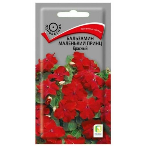 ���� ������ ���������� ����� ��������� ����� 2 �, ������ �� 49 ���