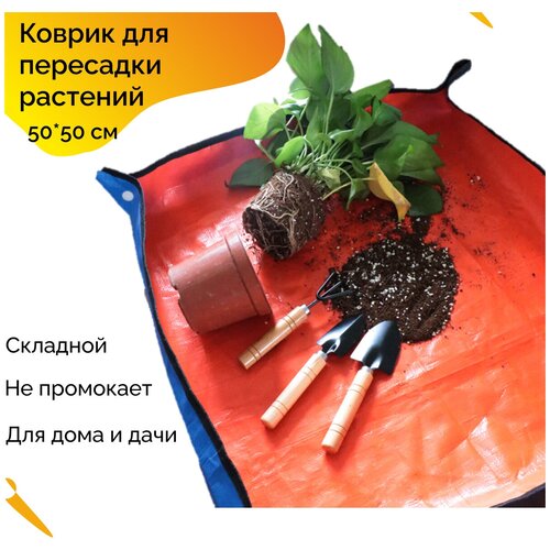 ���� ������ ��� ��������� �������� ����, �� ����, �� �������, ��������, �������, �����������, ��������, ������� ��������� 50*50 ��, 1 ��,, ������ �� 410 ���