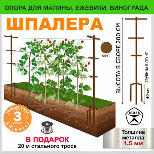 ���� ������� �������, ������ �� 4600 ���