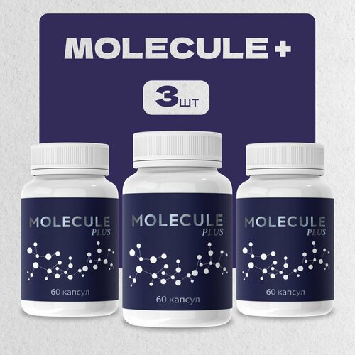 ���� �������� ��� ��������� �������� ����, ������ �� 1590 ���