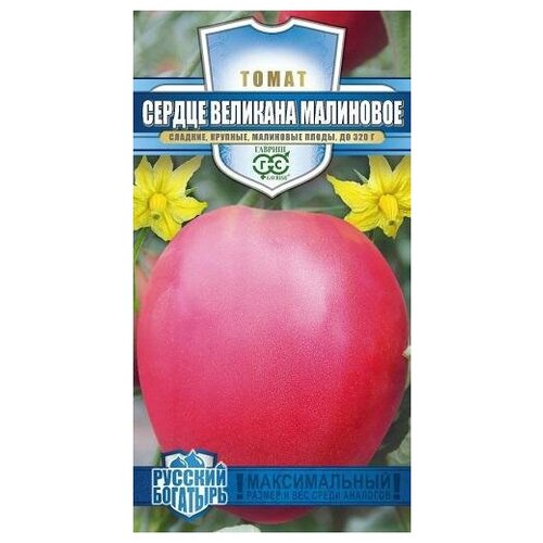 ���� ������. ����� 