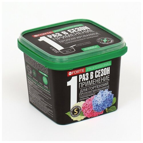   Bona Forte     , , , 1 ,   613 