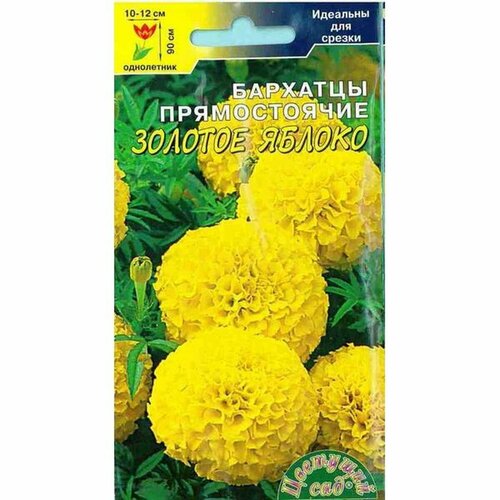 ���� ������ �������� ������� ������, ��. (����������) (�������� ���) 0,3�, ������ �� 42 ���