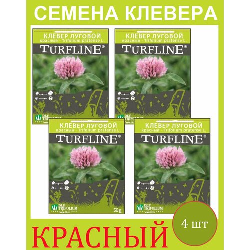        Trifolium Protense L TURFLINE DLF 0.2  (0,05 . - 4 ),   1348 