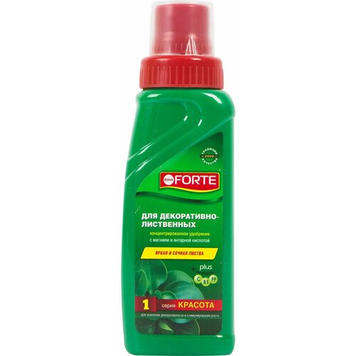   Bona Forte  -  0.285 ,   485 