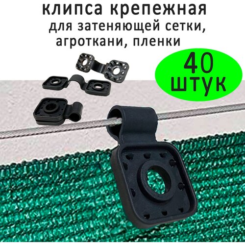 ���� ����� ��� ���������� � �������� ����� ������������, 40 ��, ������ �� 1397 ���