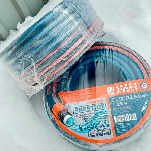 ���� ����������� ���������� ����� 6 ����� �� ����������������� 