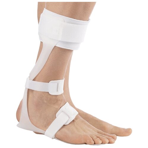       Orto NRN 400 (: M, : ),   4370 