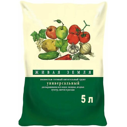 ���� ���������� ����� ����� 5� ���������, ������ �� 450 ���