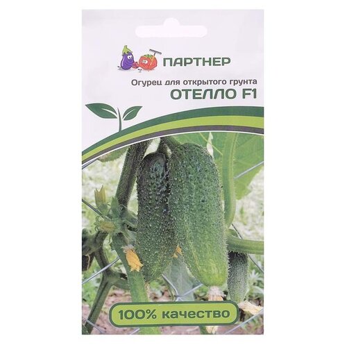 ���� ������ ��������� ������� ������ ������ F1 10 ��, ������ �� 200 ���