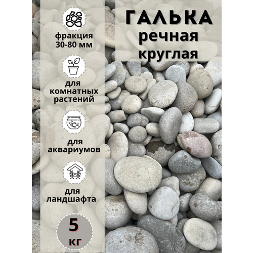 ���� ������ ������ ������� 30-80 �� (5��) ��� ���� � ������� � ������������ �������, ������ �� 1074 ���