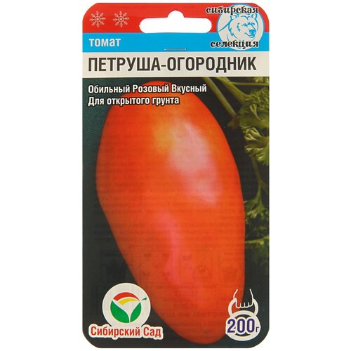 ���� ������ ��������� ��� ����� ������� ��������� 20 ��, ������ �� 62 ���