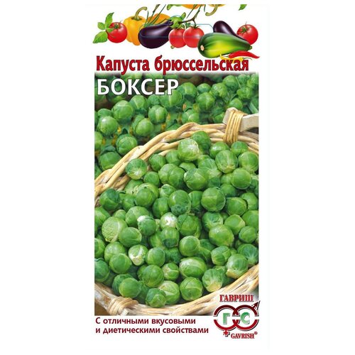 ���� ������ ������ ������� ������������ ������ 0,2 �, ������ �� 262 ���