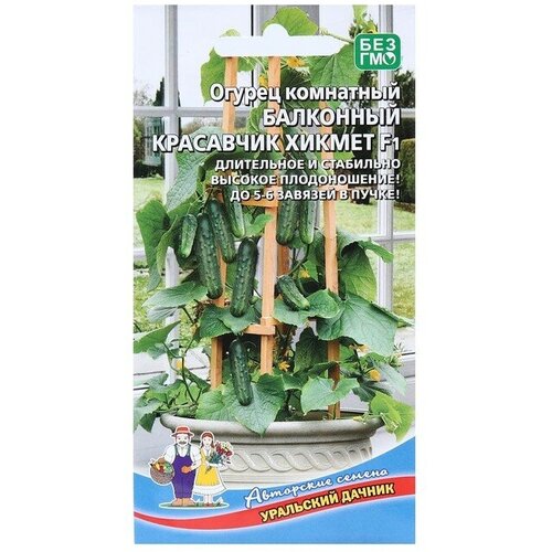 ���� ������ ������ 