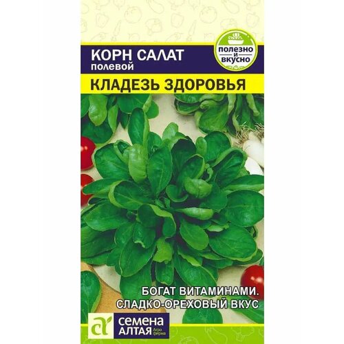 ���� ���� ����� 