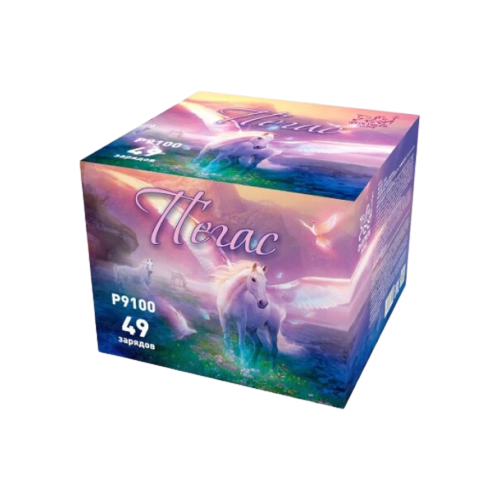 ���� ������� ������� ��������� ������ ����� P9100, 49 ������, ������-������� 26.5 �� 26 ��, ������ �� 9120 ���