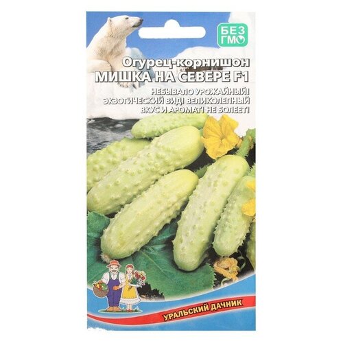 ���� ������ ������ 