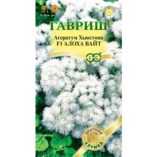 ���� ������ �������� ����� ���� F1, 10��, ������, ������� ������, ������ �� 339 ���