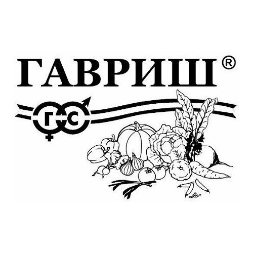 ���� ������. ����-������� 