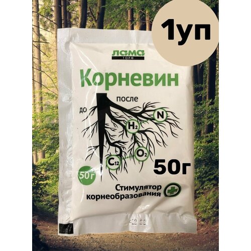 ���� �������� ��� ��������/ ���������� ����������������/ ��������� 50� 1��, ������ �� 279 ���