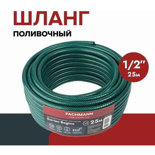 ���� ����� �������, ���������� 1/2 ���, 3-� ������� Garten Beginn, 25 ������ �����, 12.5 �� ��� ������, ������ �� 1419 ���