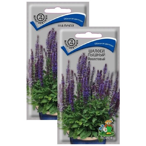 ���� ������ ������ ���������� (0,1 �), 2 ������, ������ �� 249 ���