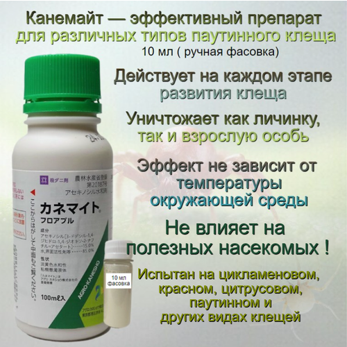 ���� ������ �������� �������� 10 �� (������), ������ �� 820 ���