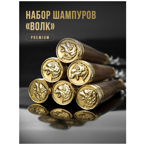 ���� ���������� ����� �������� � �������� ������ 