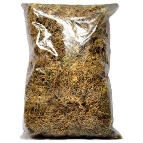 ���� ��� ����� ��������� ������� ������� �������, 1 �, 0.25 ��, ������ �� 175 ���