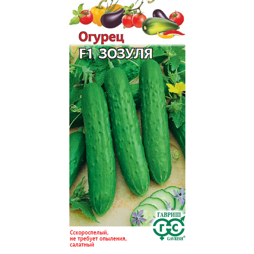 ���� ������ ������ ������ F1 10�� ������������������ ������ (������), ������ �� 42 ���