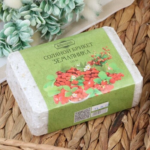 ���� ����������� ������� ������ 