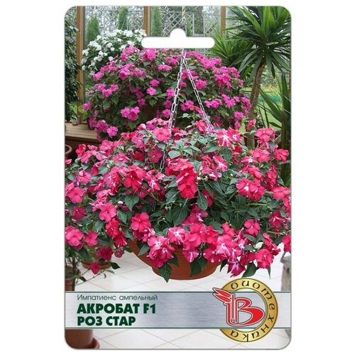 ���� ������ ���������� ���������� 