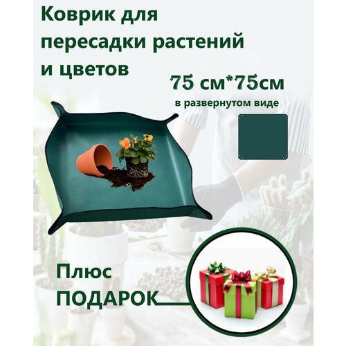 ���� ������ ��� ��������� �������� � ������ ����� �������, ������ �� 580 ���