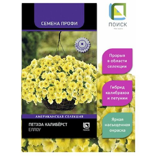 ���� ������ �������� ����� 5 ����� /�����, ������ �� 499 ���