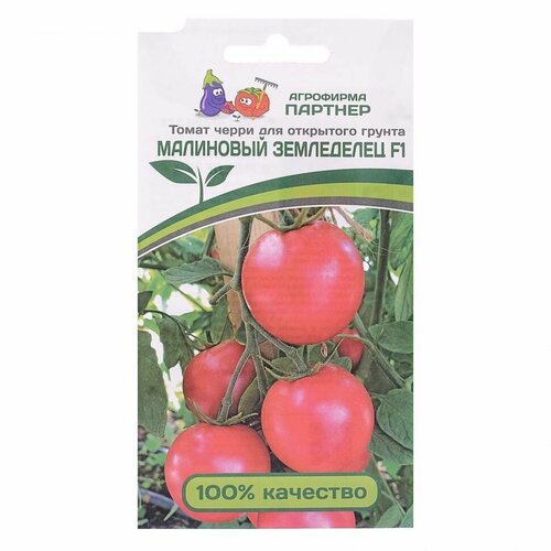 ���� ��������� ������� ������ ����� 