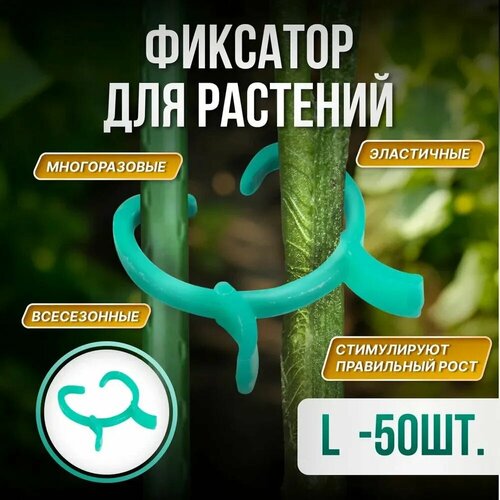 ���� ������-�������� ��� ��������, ������ L (3,4�3,2��), 50 ����, ������ �� 509 ���