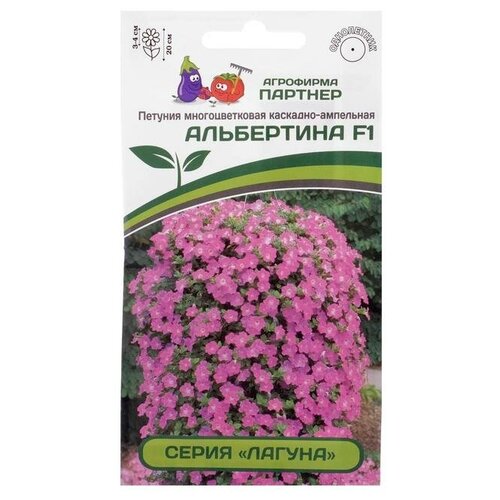 ���� ��������� ������� ������ ������ ������� 