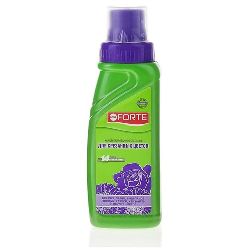 ���� �������� ���� ����� ��� ���������� �������� ��������� ������, ������ 285 ��, ������ �� 269 ���