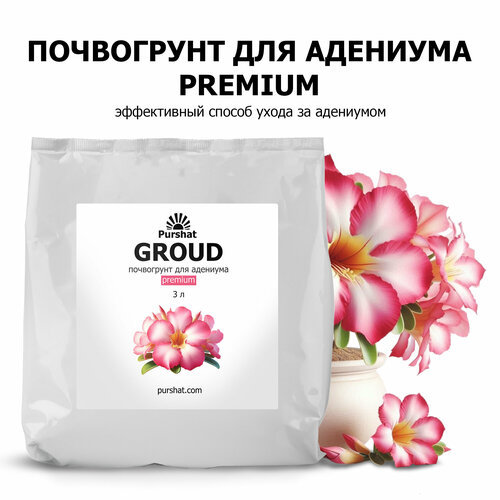 ���� ���������� ������ Premium 3 � ��� �������� � ������ � ����� �������� � ������ �������, ������ �� 614 ���