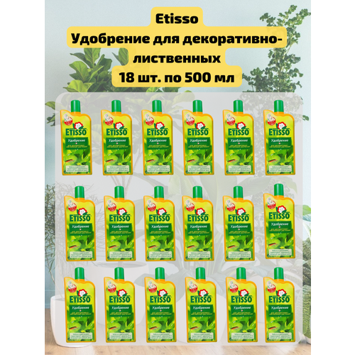 ���� �������� 18 ��. ��������� ������ ��� �����������-���������� �������� 500 ��. Etisso, ������ �� 13200 ���